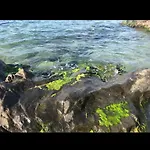 Le Racou Maison Sur Le Sable 度假居